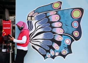 【地球 24小時】07/08 給你一對翅膀