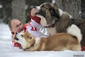 【沒有最狂，只有更狂】地球五狂特輯：你所不知道的普亭