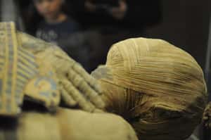 【法科地史的埃及課】想知道古埃及人怎麼說話？科學家讓三千歲的木乃伊發給你聽！