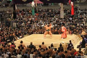 相撲的體脂肪可能比你還低！日本相撲文化解密