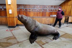 【地球 24小時】03/12 今天換我上場了