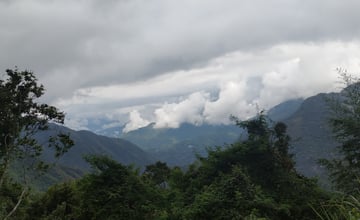 【遊記】不期而遇的踏雨游溪，老鷹溪步道 - 大漠國渡