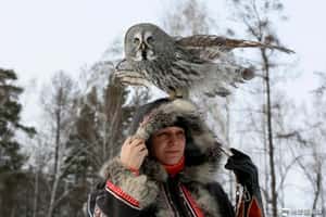 【過年返鄉潮開跑的地球 24小時】01/30  我與我的貓頭鷹