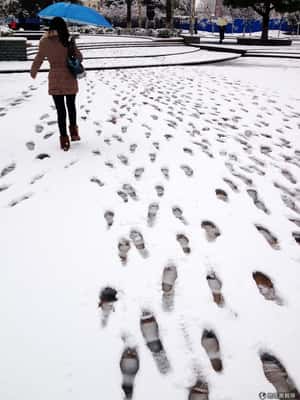 大雪中迎開工  中國東部受雪侵襲陸空交通受阻嚴重