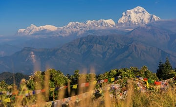 Experience Nature and Culture on the Ghorepani Poon Hill Trek