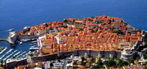 人生重開機   克羅埃西亞免除窮人債務