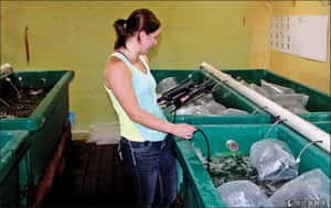 緣木求魚不稀奇，美國中西部內陸養魚