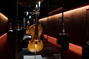 如果世界沒有克雷默納？COVID-19重擊義大利小提琴重鎮