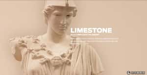 3D 列印廠 MakerBot 發表新材質，可仿石灰石、楓木、金屬質感