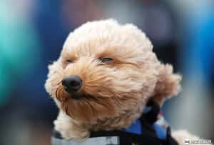 【防災注意的地球 24小時】09/04  讓我們看向遠方