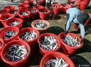 泰國計畫送囚犯到海上 人權組織說NO