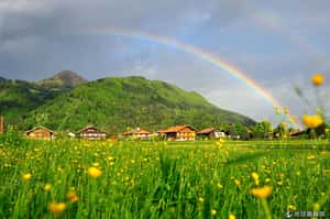 在彩虹下慶賀耶穌升天