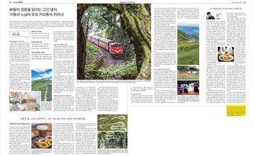 94分的台灣驕傲！阿里山咖啡攻佔首爾最大咖啡展  韓妞都瘋狂了