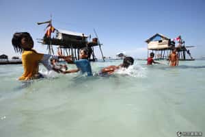 「一口氣」能在海裡待上好久 巴瑤族優異潛水能力之謎