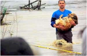 巴爾幹豪雨成災 居民勇救溺水狗