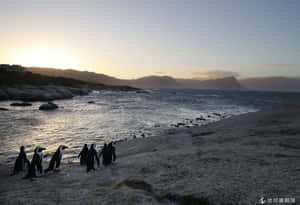 2013何處去系列(四)：全球最美港灣 澎湖入選！