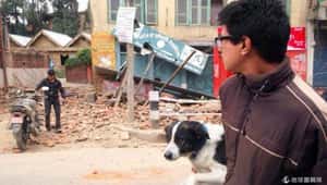 搶救尼泊爾動物 國際組織待命出動