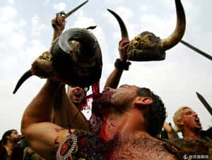 是「她」不是「他」 學者發現維京女戰士