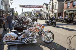 狂飆的青春 美國哈雷機車110周年慶