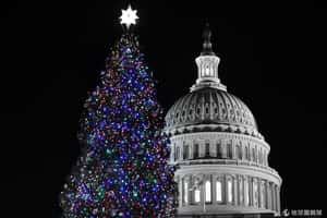 與民同慶 英美首都點亮聖誕燈火