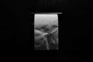 衛生紙到底該丟哪裡？！關於廁所，你不知道的是......