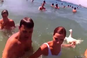 “追鴨節”惹議   西班牙將公投表決存廢