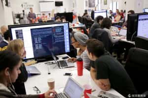 用人唯才 紐約科技從業者五成沒有大學學位