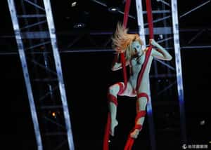 太陽馬戲團成員從舞台上跌落送醫不治  34年來第三起