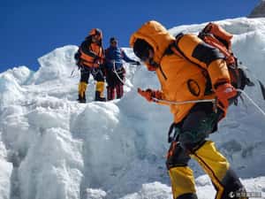 假的真不了 印度夫婦造假登峰被抓包