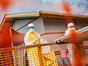 剛果婦女的眼淚：WHO再傳權勢性侵風暴