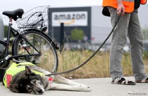 「想被視為人，而非機器」亞馬遜各國員工在促銷日Prime Day罷工