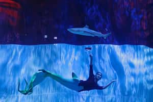 【地球 24小時】08/17 揮舞國旗的人魚