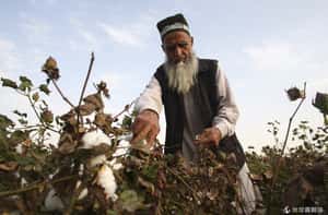 留鬍也犯法？塔吉克刮掉1萬多名穆斯林的鬍子