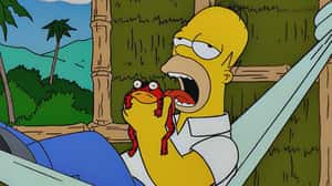 「請不要舔科羅拉多河蟾蜍」 國家公園管理局關心您的健康