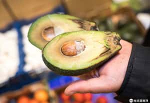 川普揚言關閉美墨邊境 蔬果廠商：三周後全美就沒酪梨可吃