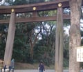 長輩跟團去東京，明治神宮要走多久