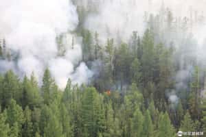 不只地球之肺 阿拉斯加、西伯利亞極圈也一片火海