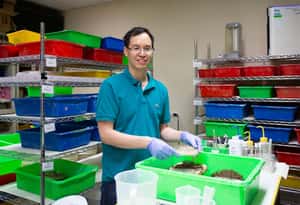 「我在中研院養螞蟻」王忠信與他的紅火蟻大軍