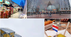 荷蘭｜鹿特丹一日遊：方塊屋、鉛筆屋、拱廊市場一起逛！品嘗國民美食生鯡魚