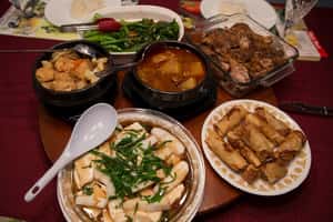 喧囂過後，廚餘怎麼處理？——中興大學楊秋忠老師專訪 