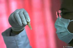 H7N9禽流感疑似出現抗藥性