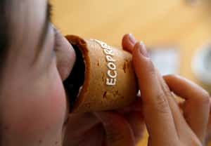 衛生又環保 可食用杯風潮悄悄興起