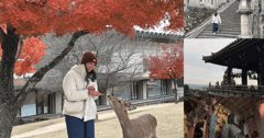 奈良不只餵小鹿.賞大佛，再探索東大寺秘境二月堂 - YU山海相遇