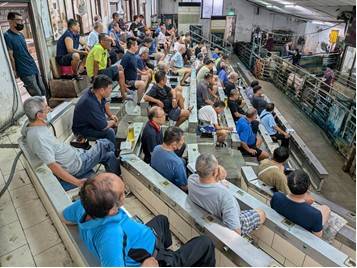 高雄農業局：毛豬復市首日交易熱絡   首日均價維持穩定