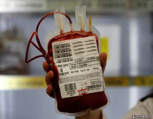 將A型血變O型血  加拿大研究團隊找到關鍵酶