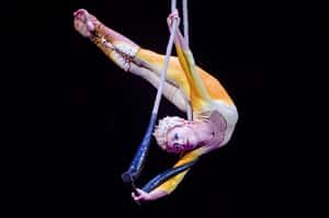 日出日落皆有時 太陽馬戲團聲請破產、百老匯取消2020年所有演出