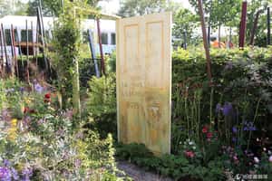 逛花園就可環遊世界    英國的伊甸園計畫植物園