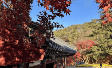 【遊記分享】韓國的秋天也太美！首爾 + 公州楓葉銀杏看到飽 - YU山海相遇