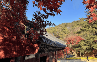 【遊記分享】韓國的秋天也太美！首爾 + 公州楓葉銀杏看到飽 - YU山海相遇