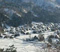 日本跟團進很多購物站是正常的嗎？想挑完全不進購物站的行程，怎麼挑、有哪些？